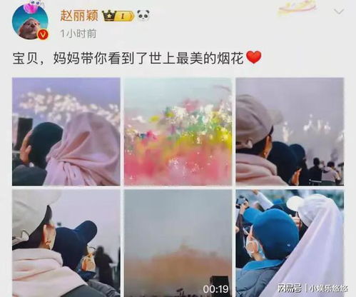 赵丽颖带儿子看烟花秀