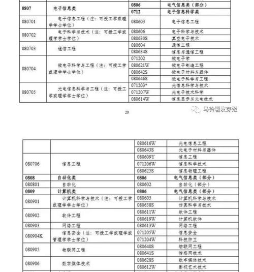 芜湖电子商务专业排名