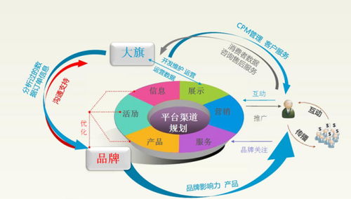 电子商务专业沿革