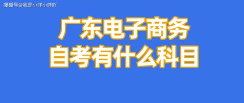 电子商务专业自学心得