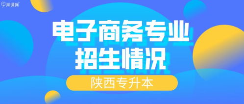 陕西电子商务理科专业