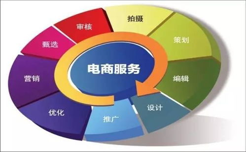 电子商务专业学科建设