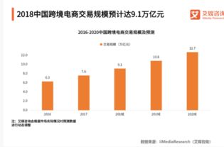 关于电子商务专业的看法