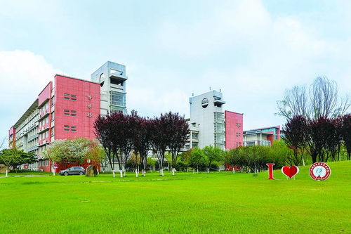 广西电子商务专业大学