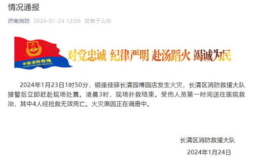 辽宁致22死火灾饭店经营者已被控制，事故原因调查全面展开