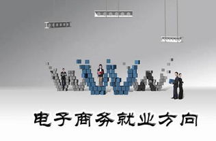 电子商务技术和应用专业