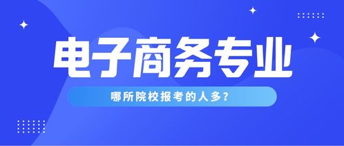 电子商务专业取得的成就
