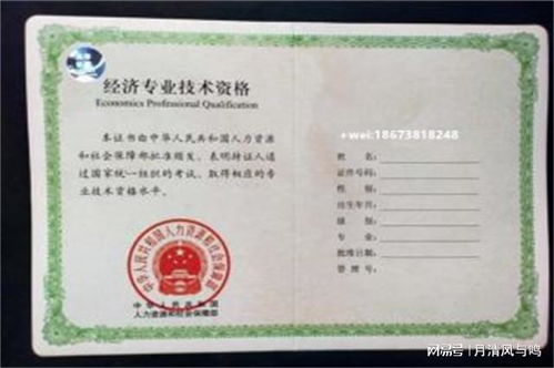 电子商务专业 中级职称