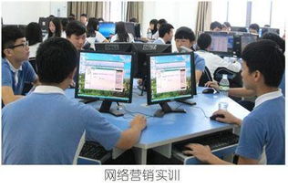 电子商务专业从哪找工作